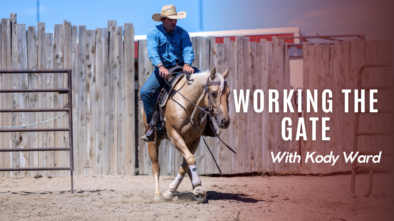 Working the Gate with Kody Ward