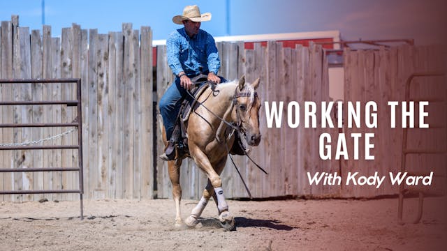 Working the Gate with Kody Ward