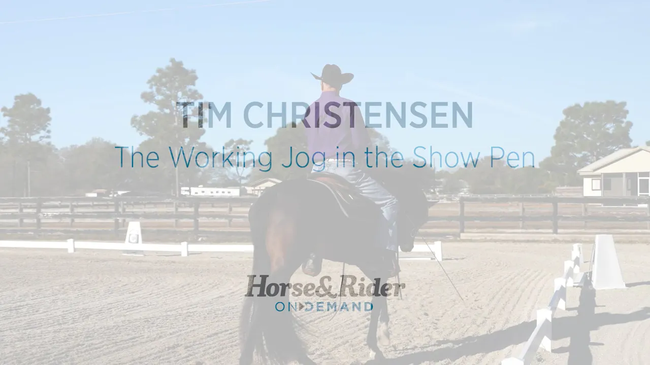 The Working Jog in the Show Pen - RIDE TV