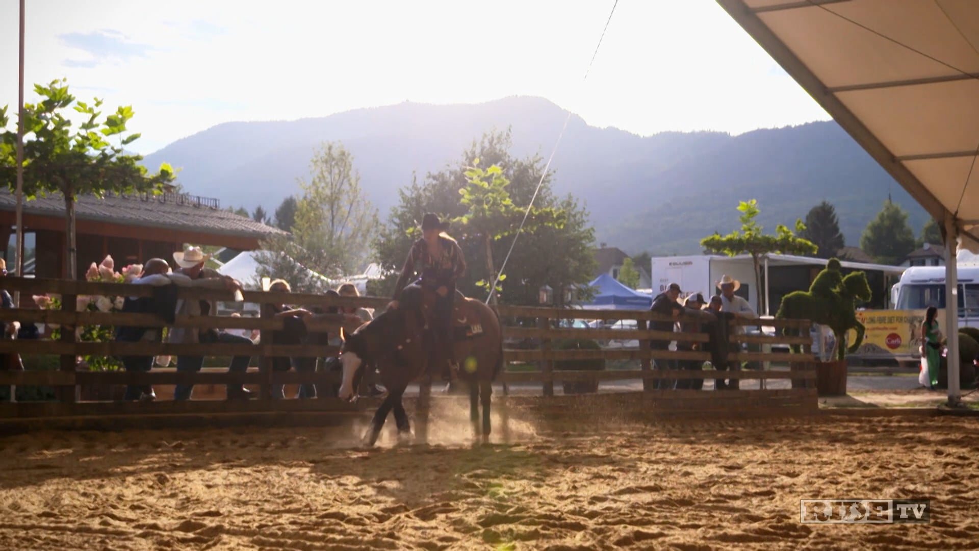 Equestrian World Shorts- Gina Schumacher