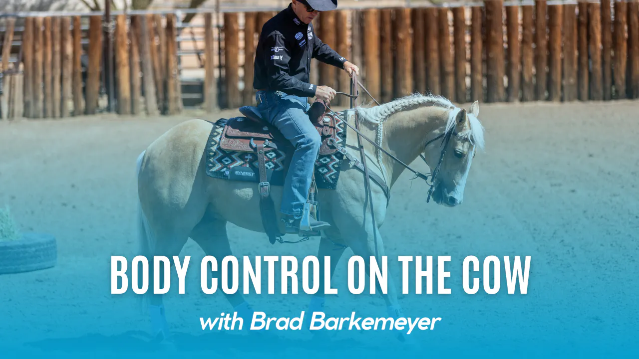Body Control on the Cow - The Complete Cow Horse: Total Body Control ...