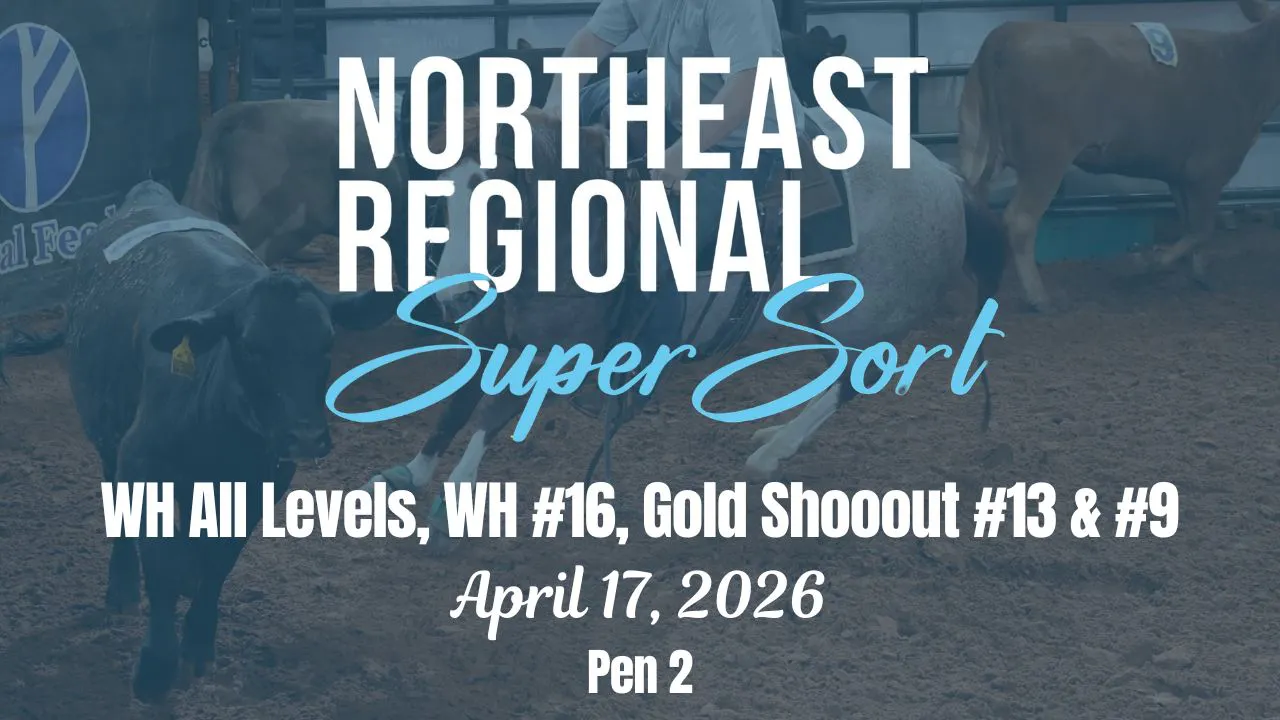 WH All Levels, #16, #13, #9 | Cinch RSNC Northeast Regional | Pen 2 | 4 ...