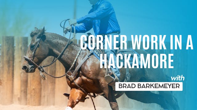 Corner Work in a Hackamore