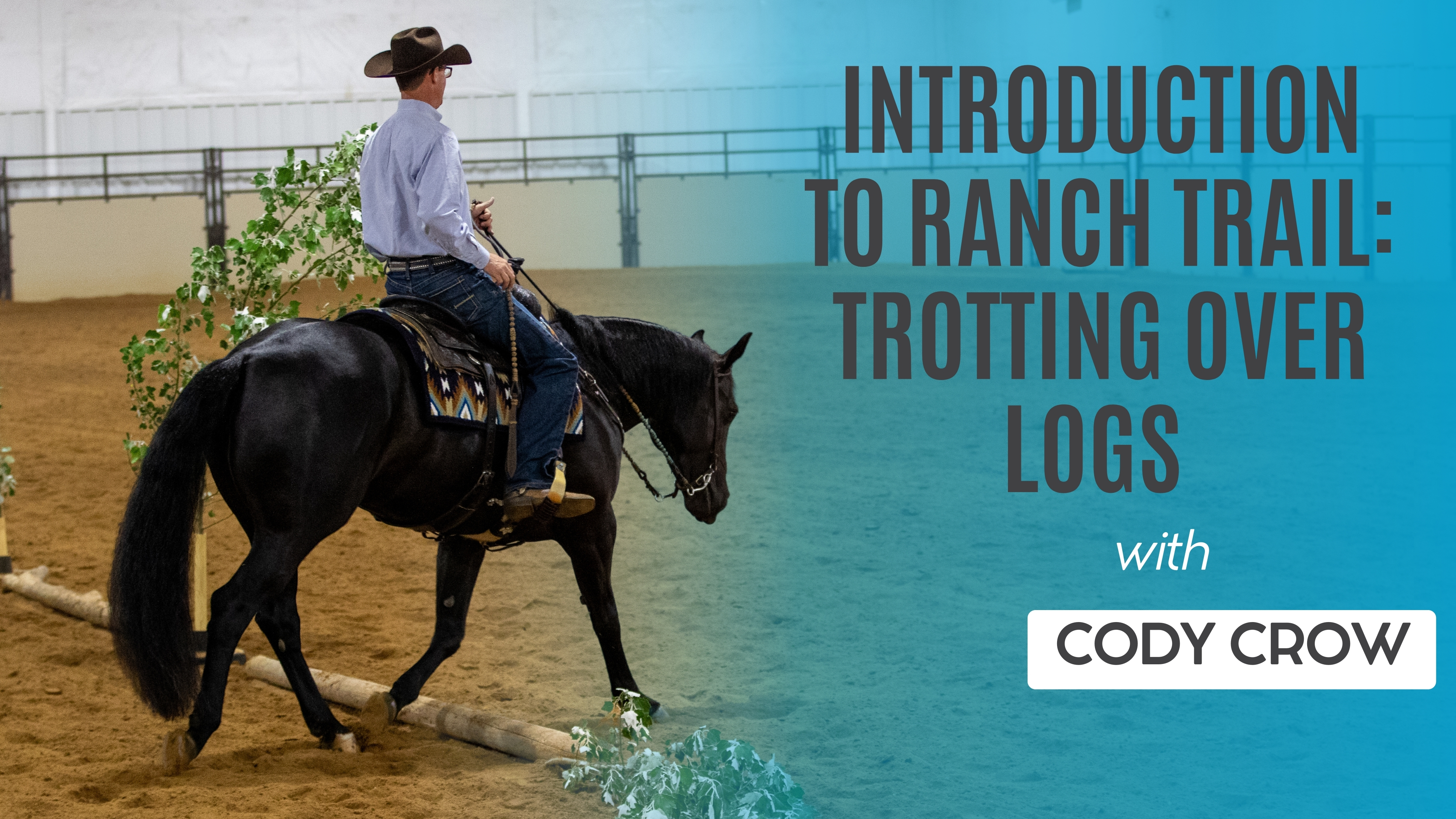 Introduction to Ranch Trail: Trotting Over Logs