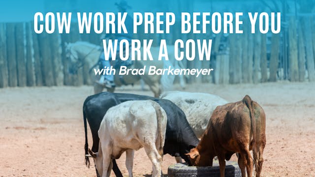 Cow Work Prep Before You Work a Cow