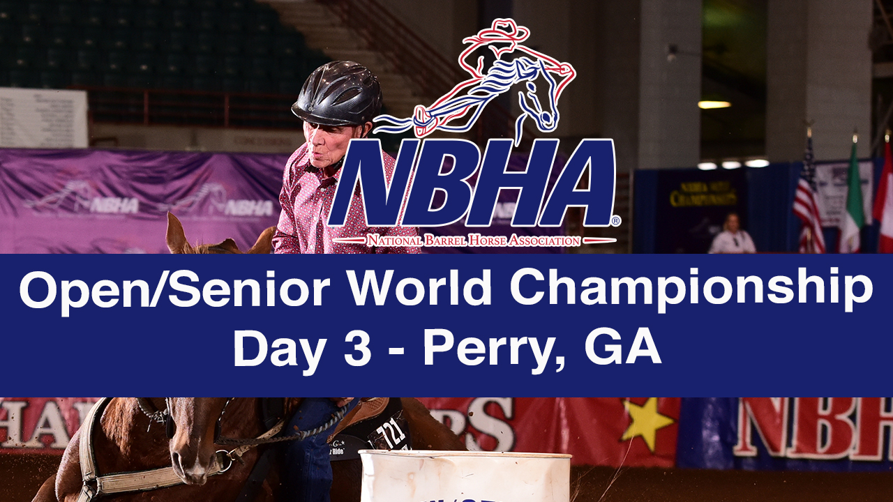 NBHA Open/Senior World Day 3 - Perry, GA