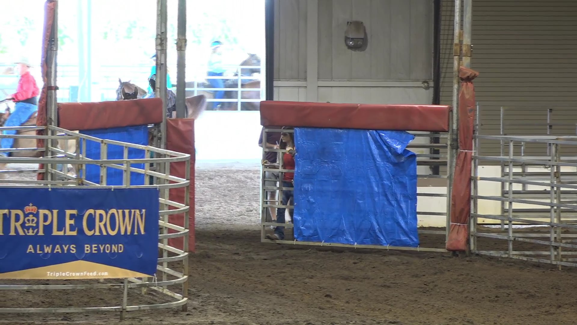 2019 NBHA GA Op1 #301-305