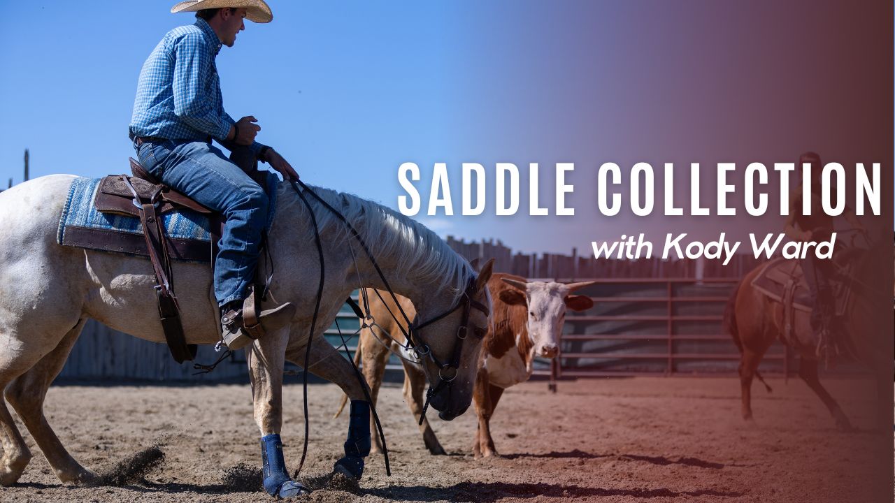 Kody Ward's Saddle Collection