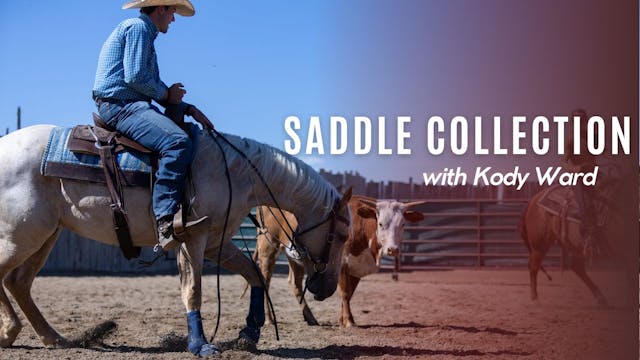 Kody Ward's Saddle Collection