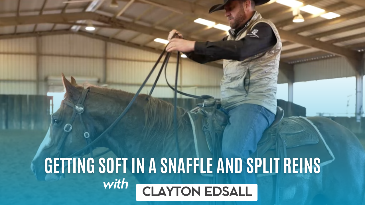 Getting Soft in a Snaffle and Split Reins with Clayton Edsall