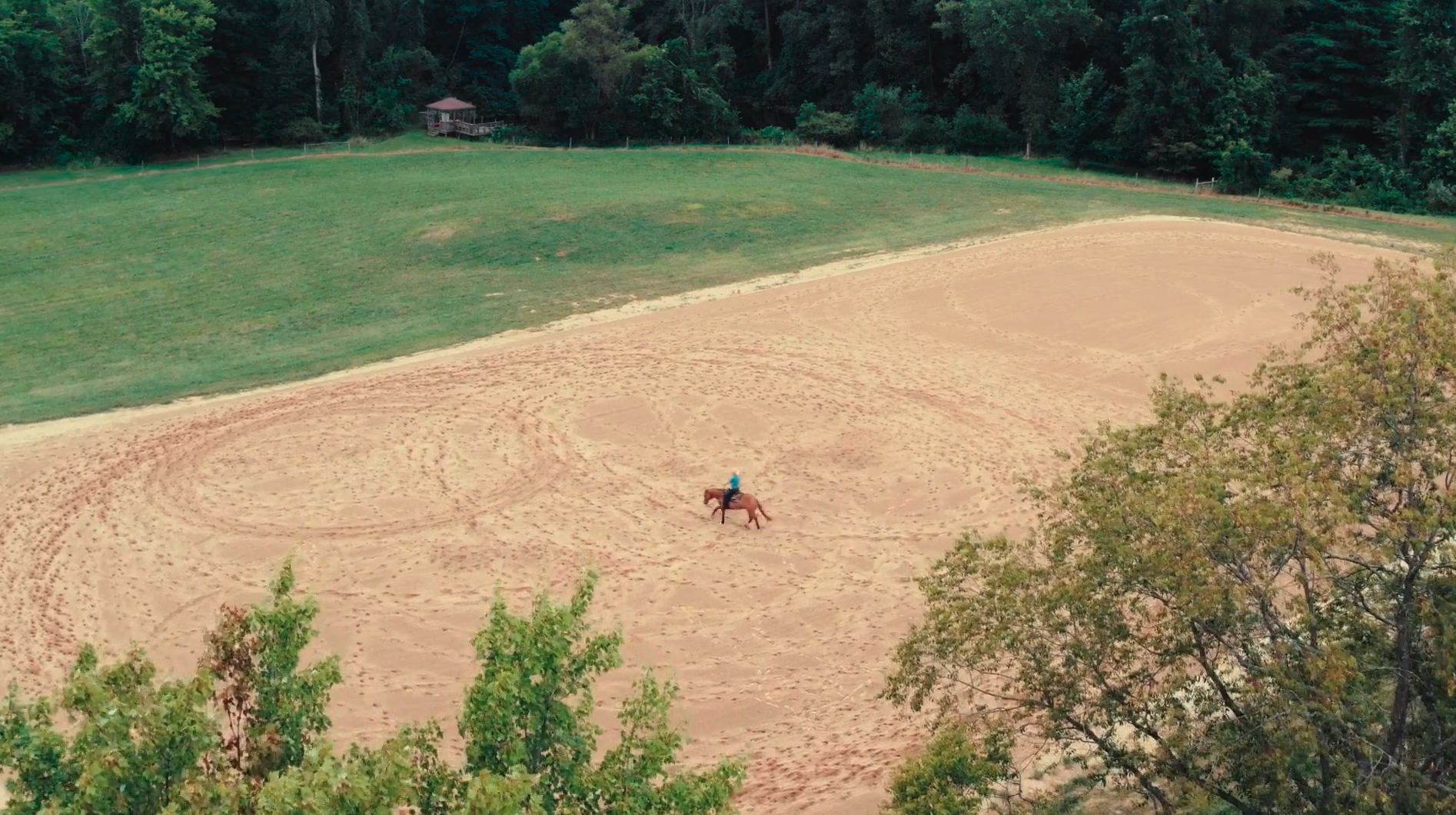 Life Lesson's 101, Presented by IHSA