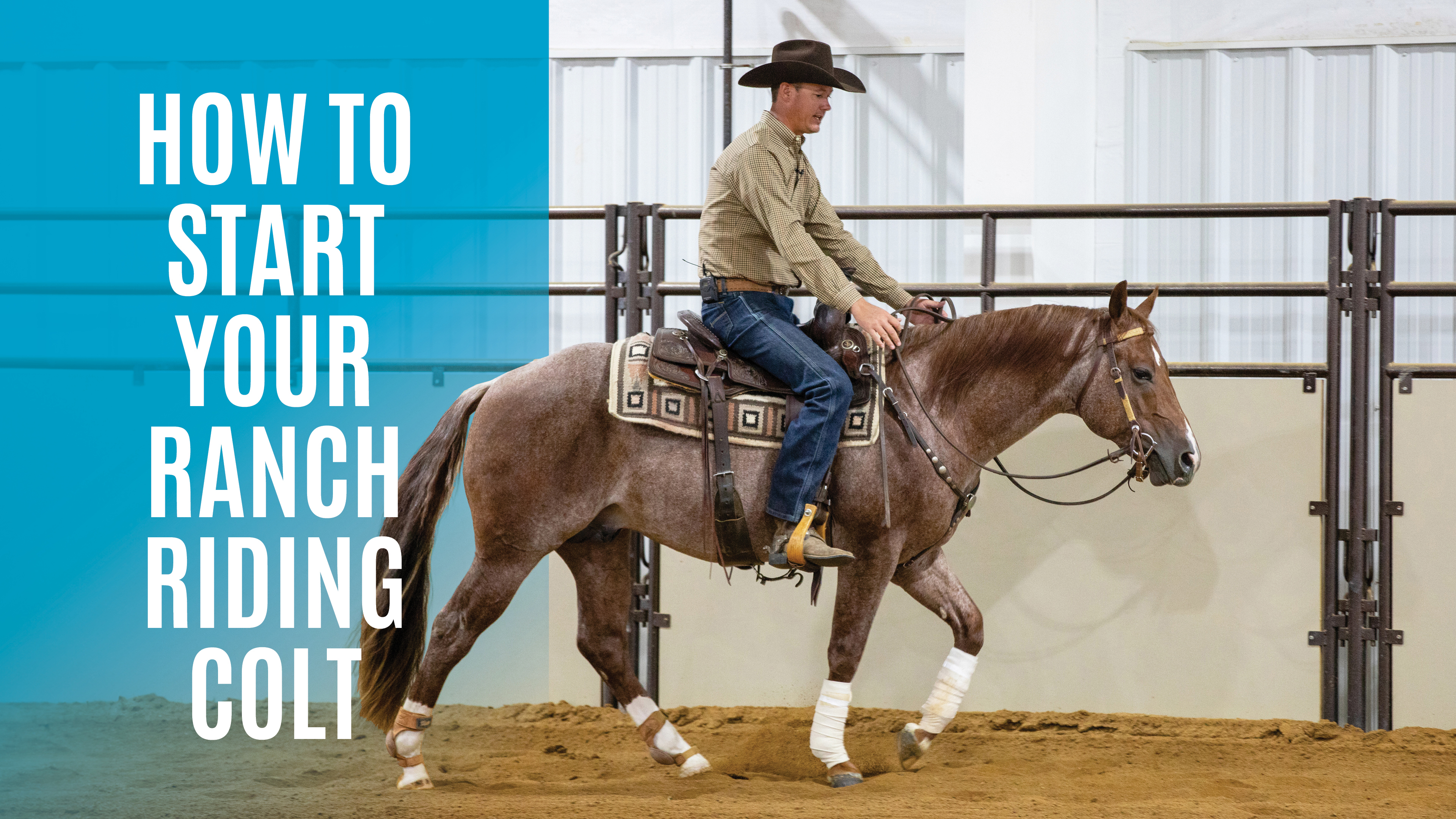 How to Start Your Ranch Riding Colt