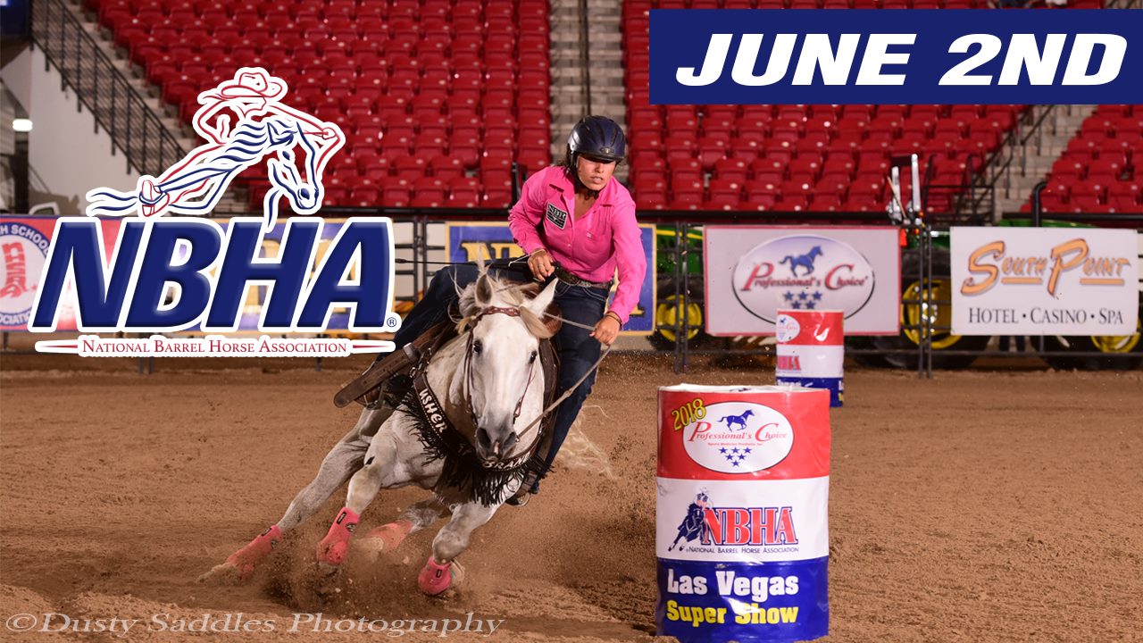 Day 3: 2019 Professional's Choice Vegas Super Show - Part 2