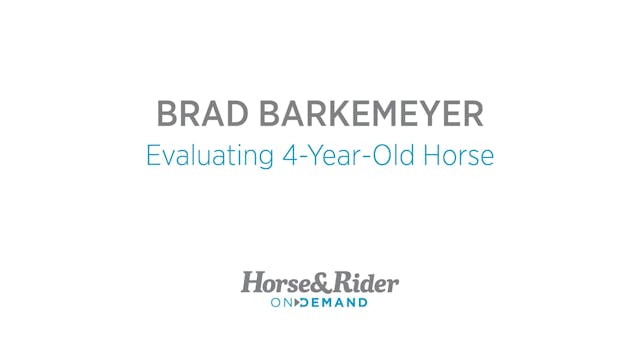 Evaluating 4-Year-Old Horse