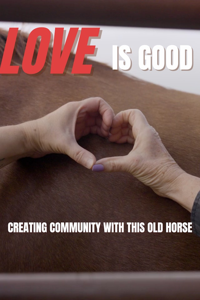 Love is Good: Creating Community with This Old Horse