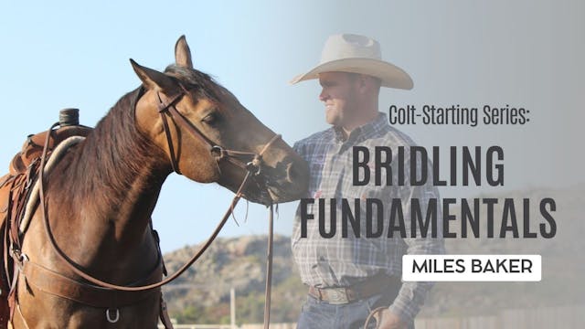 Colt-Starting Series: Bridling Fundam...