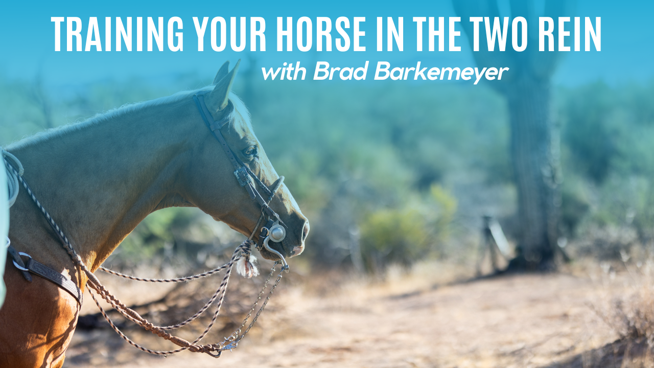 Training Your Horse in the Two Rein with Brad Barkemeyer