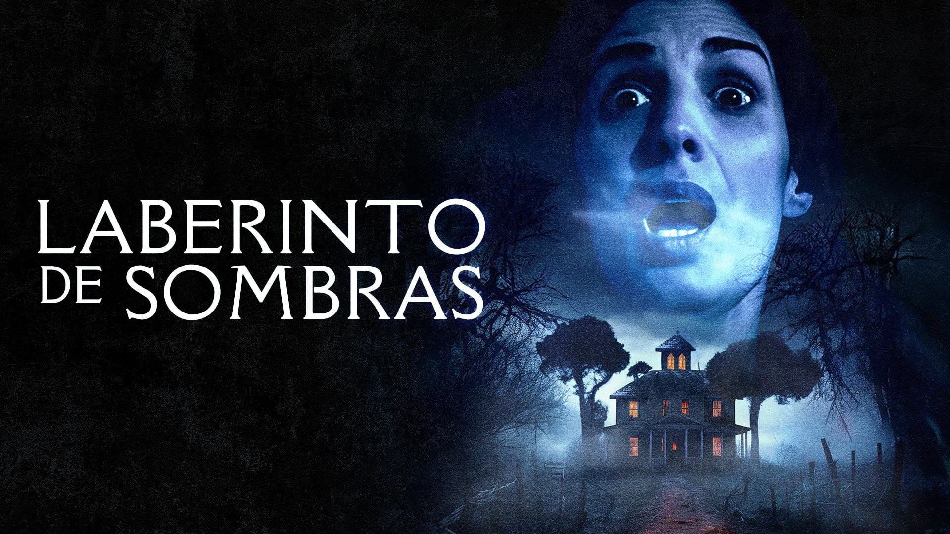Laberinto de Sombras