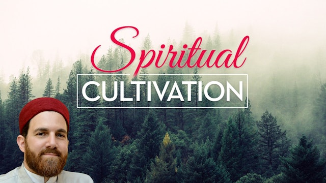 Spiritual Cultivation - Shaykh Walead Mosaad
