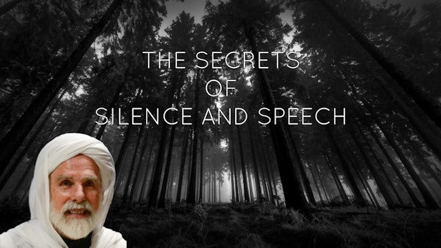 The Secrets of Silence and Speech - Dr. Umar Faruq Abd-Allah