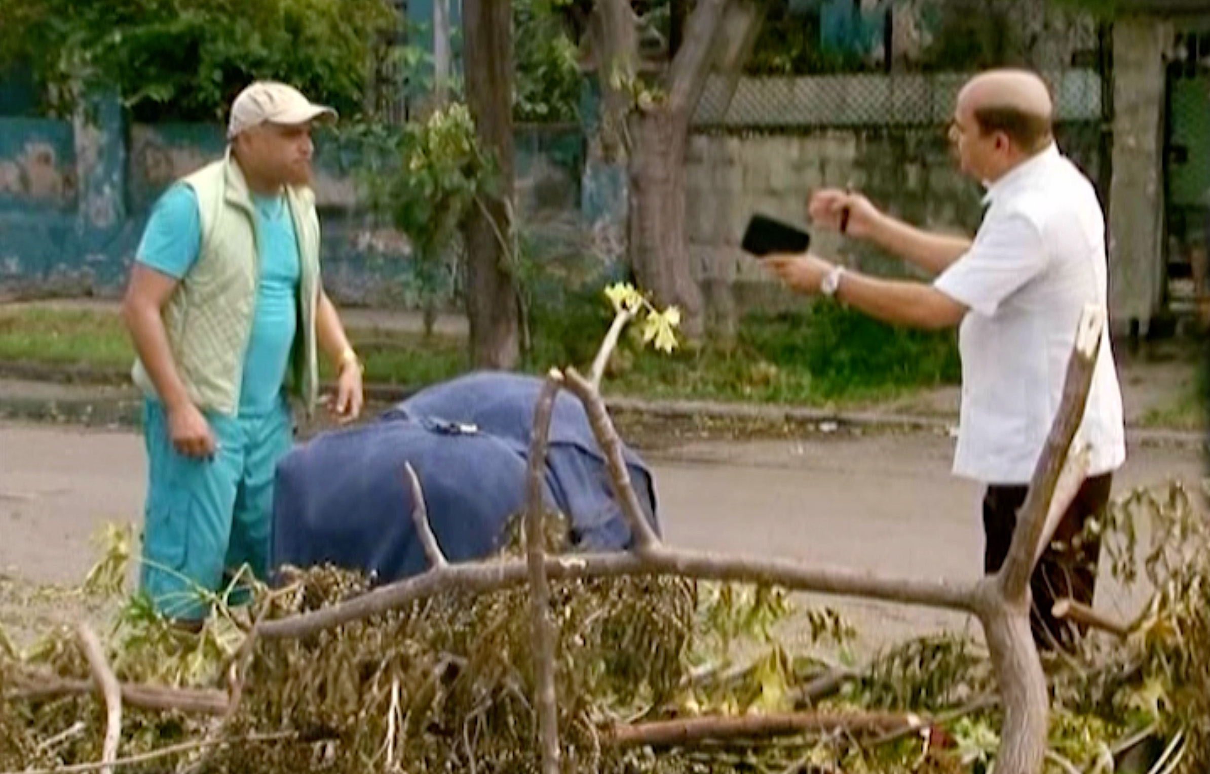 De tal papa tal semilla