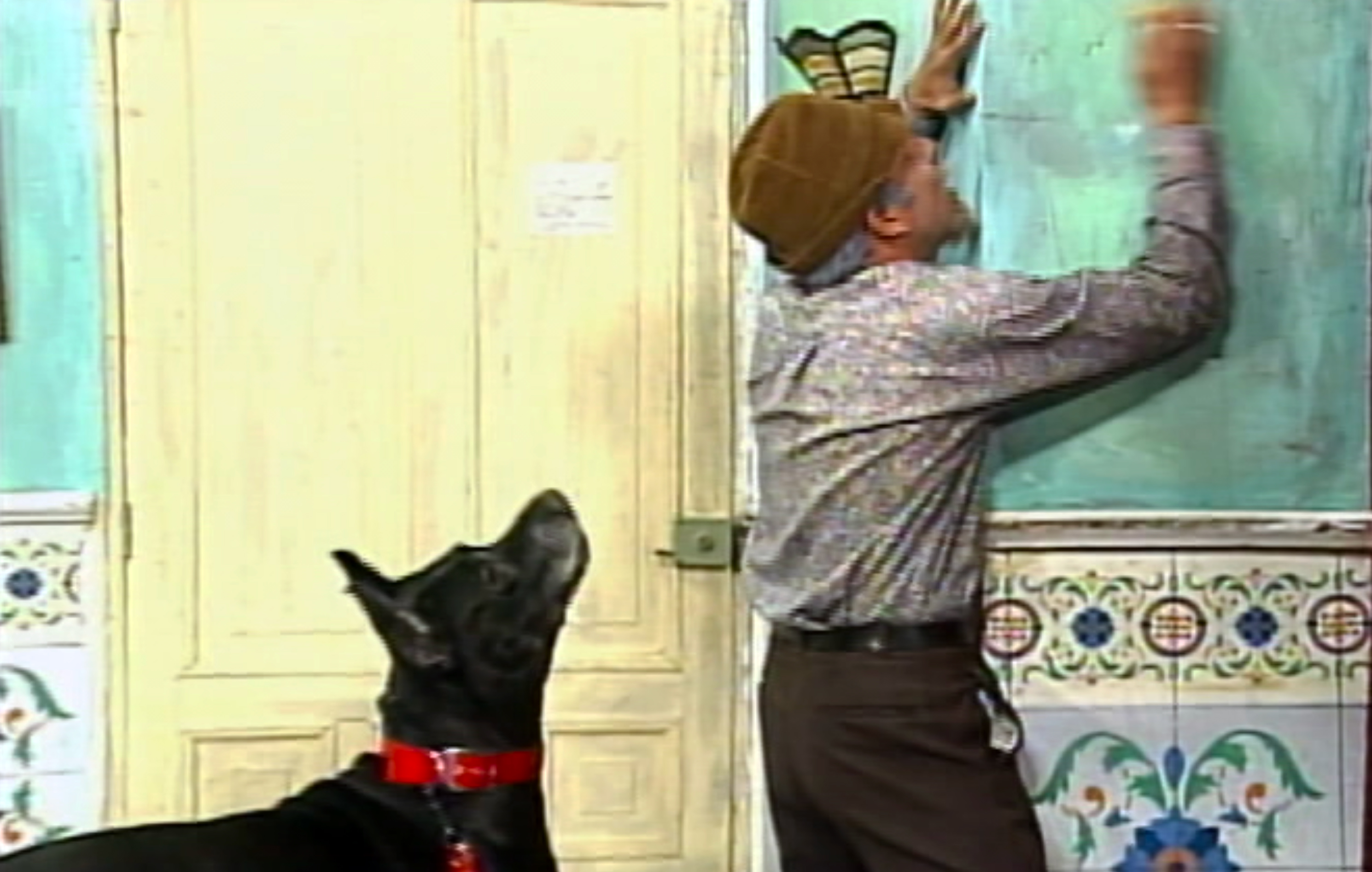 Perros