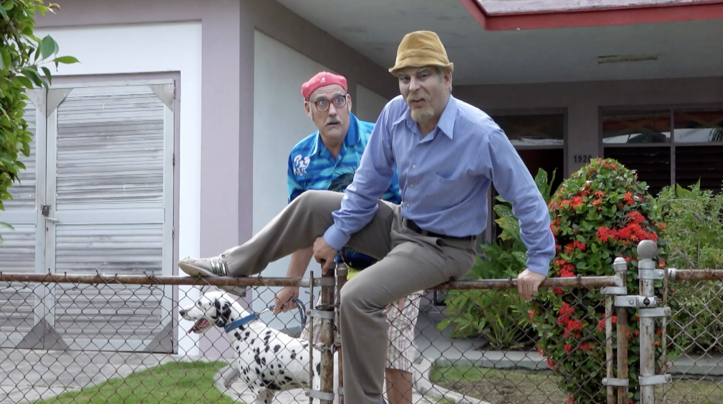 Epopeya Canina (Parte 2)