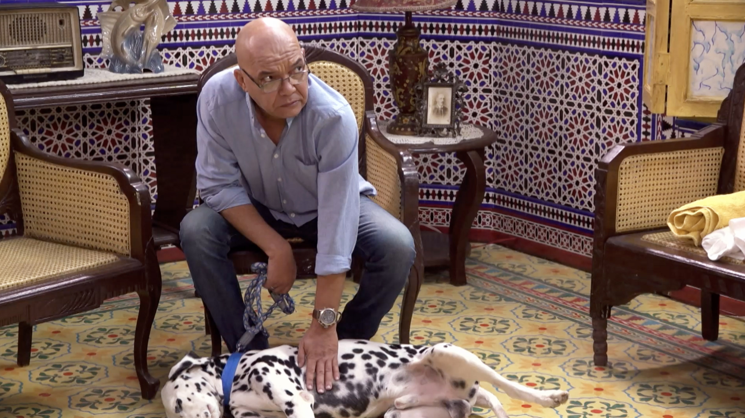 Epopeya Canina (Parte 1)