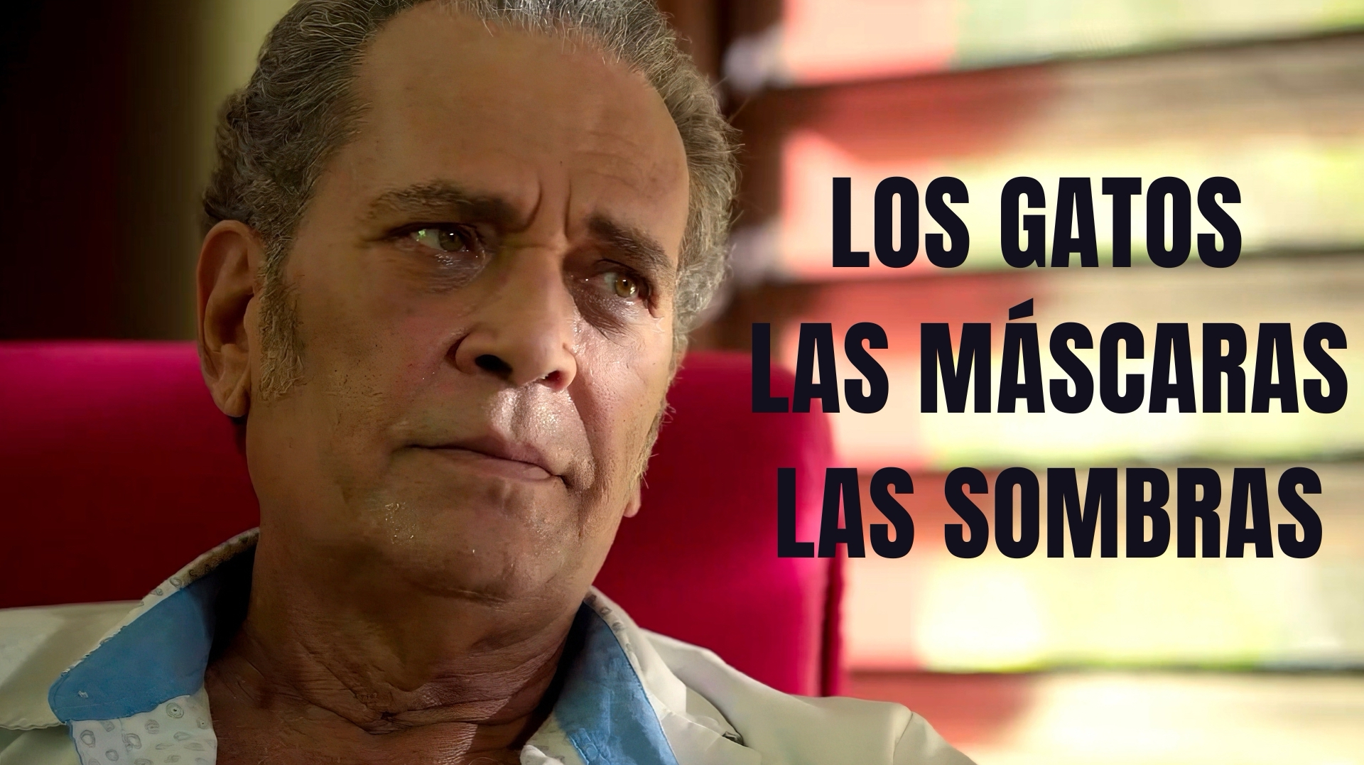 Los gatos, las máscaras y las sombras