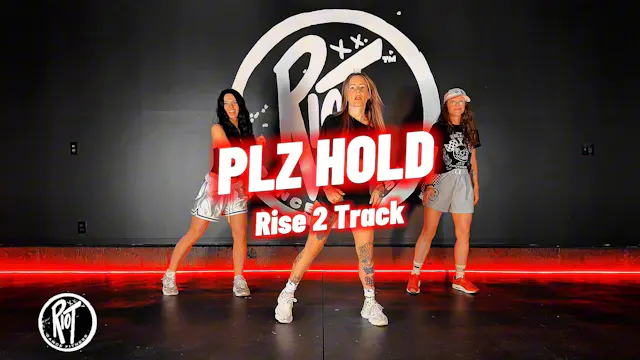 PLZ HOLD (feat. Tkay Maidza)- Snakehi...
