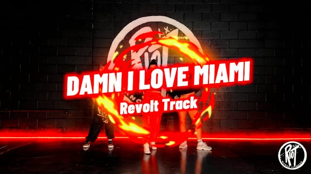 Damn I Love Miami- Pitbull