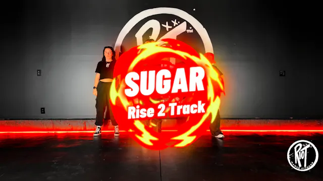 Sugar- Flo Rida, Wynter Gordon