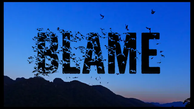 Blame (DE)