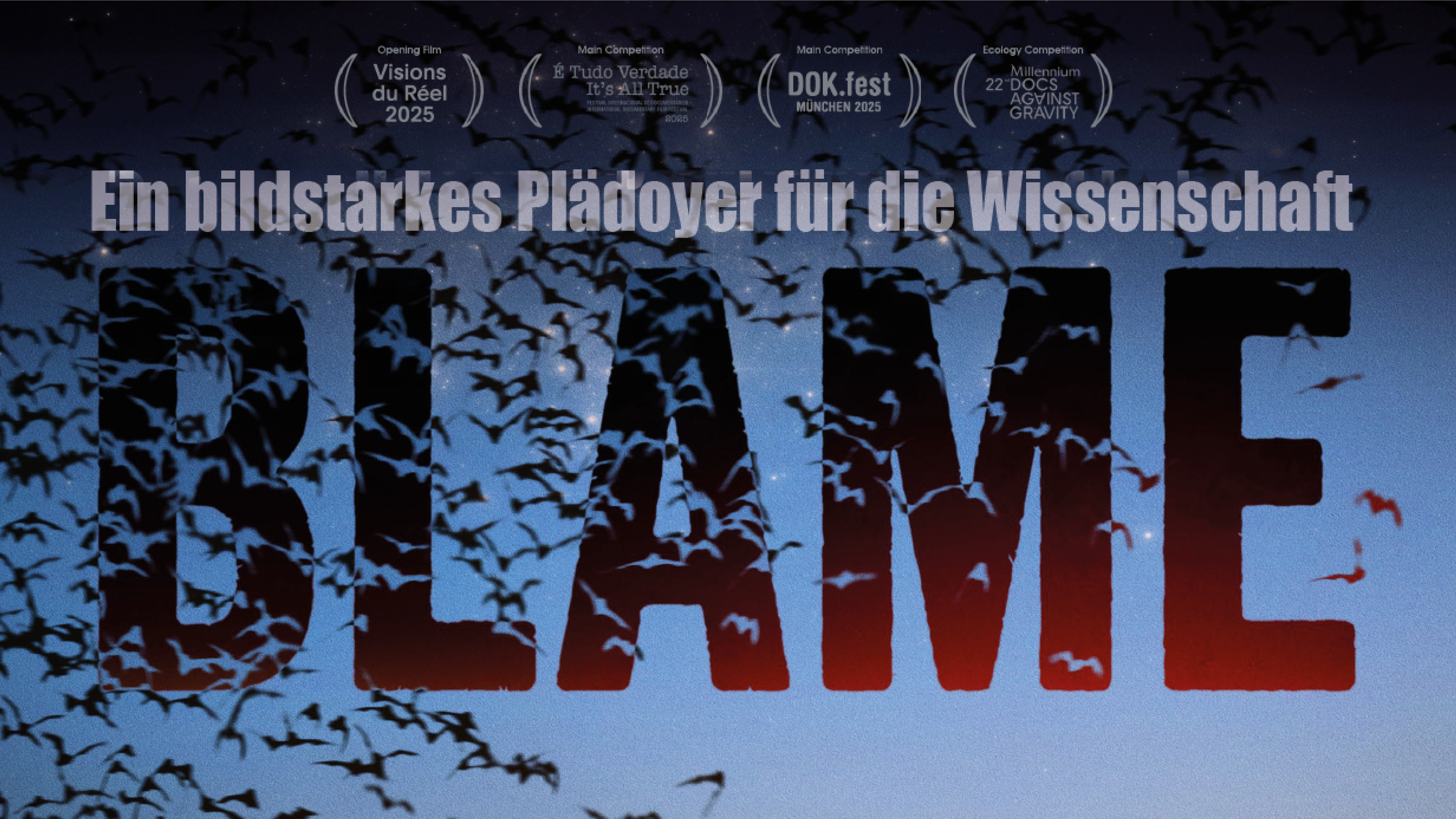 Blame
