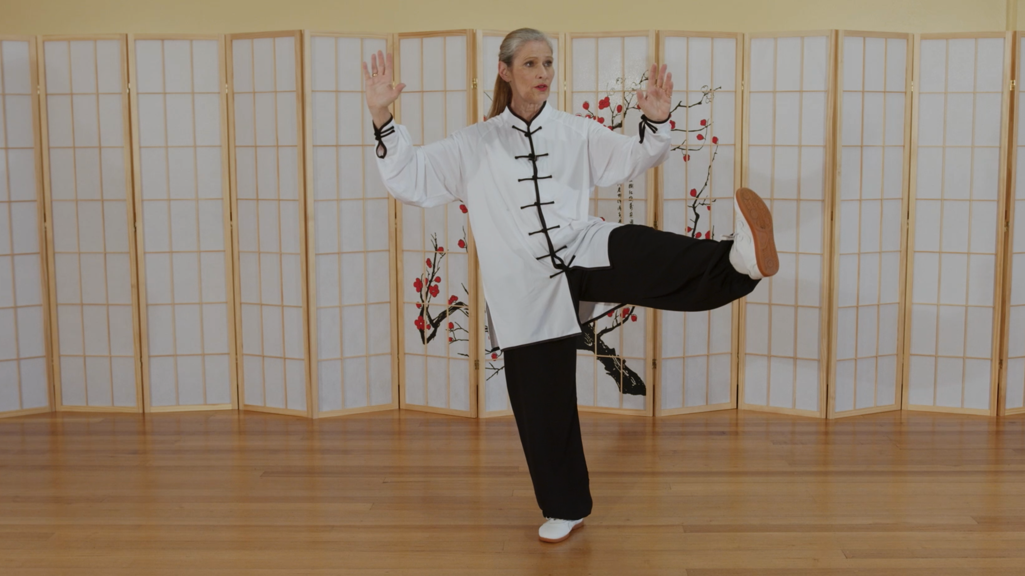 Learning Common Postures