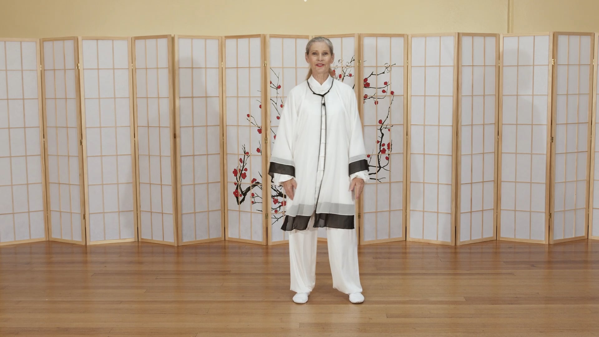 Shibashi Set 2 Postures 1-9 Combined - Shibashi Set 2 - Rising Moon Tai Chi