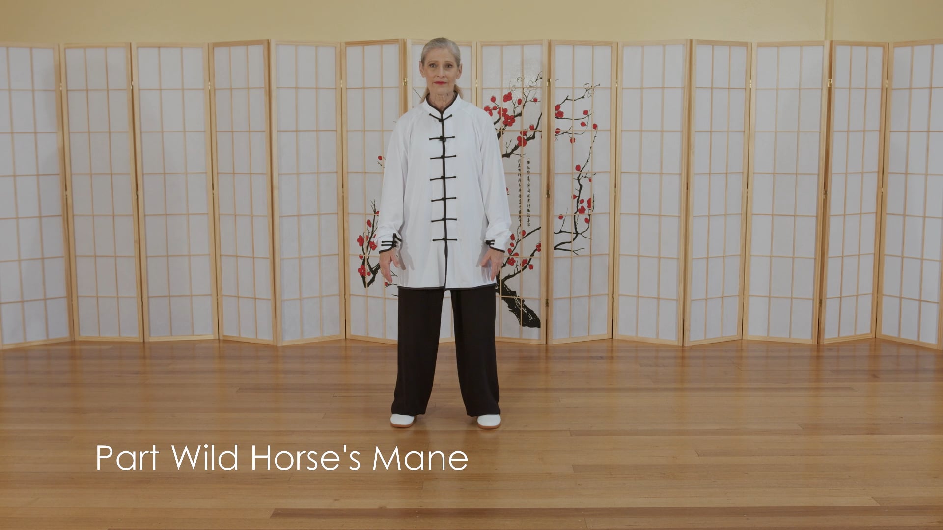 Commencement, Part Wild Horse’s Mane, Brush Knee, Cloud Hands and Repulse Monkey