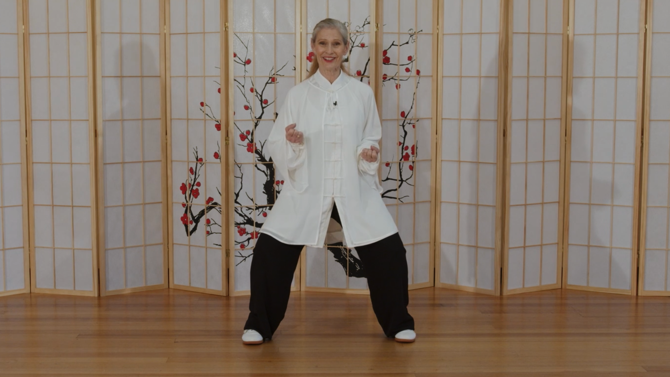 Tai Chi Stances and Stepping