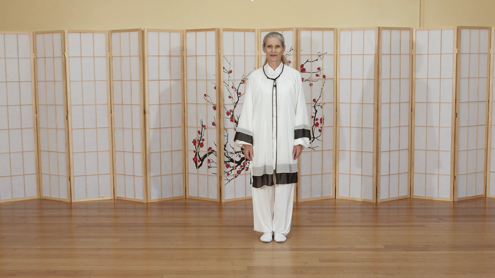 Shibashi Set 2 (Complete)