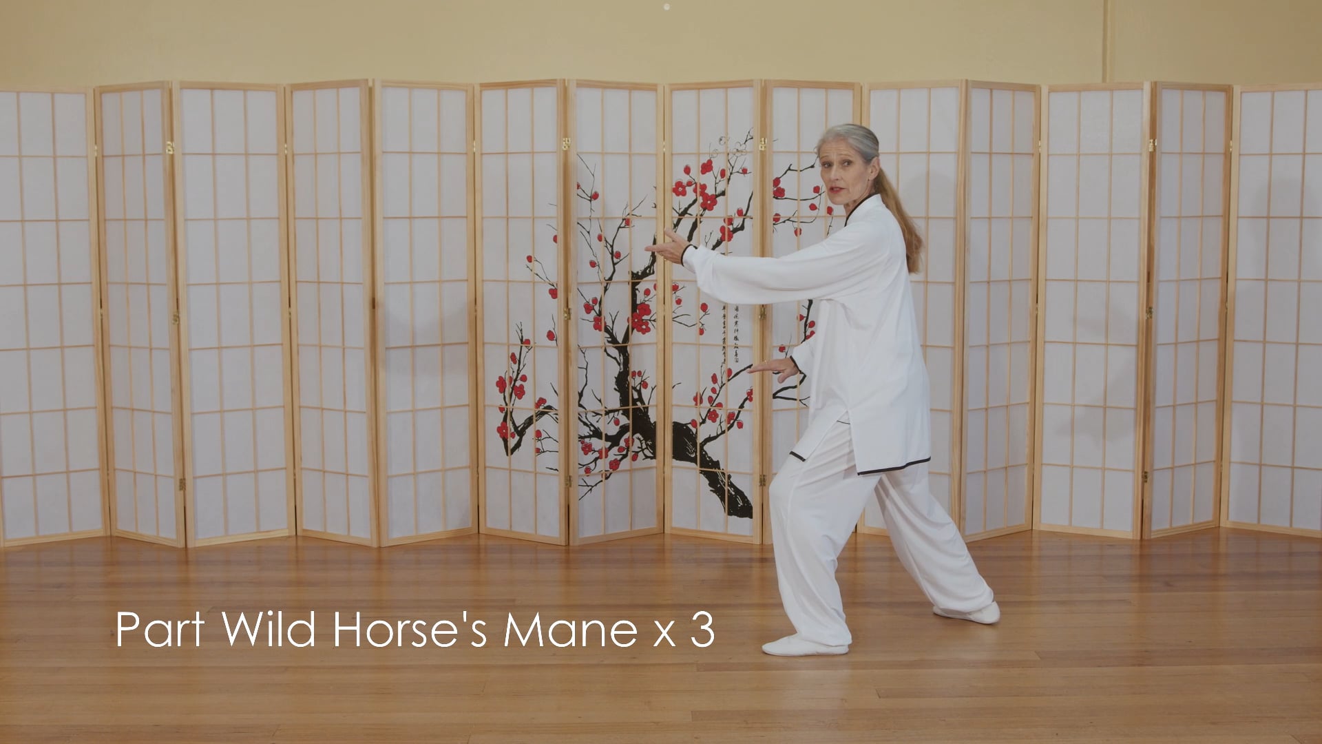 Beijing 24 Form  - the first 7 postures