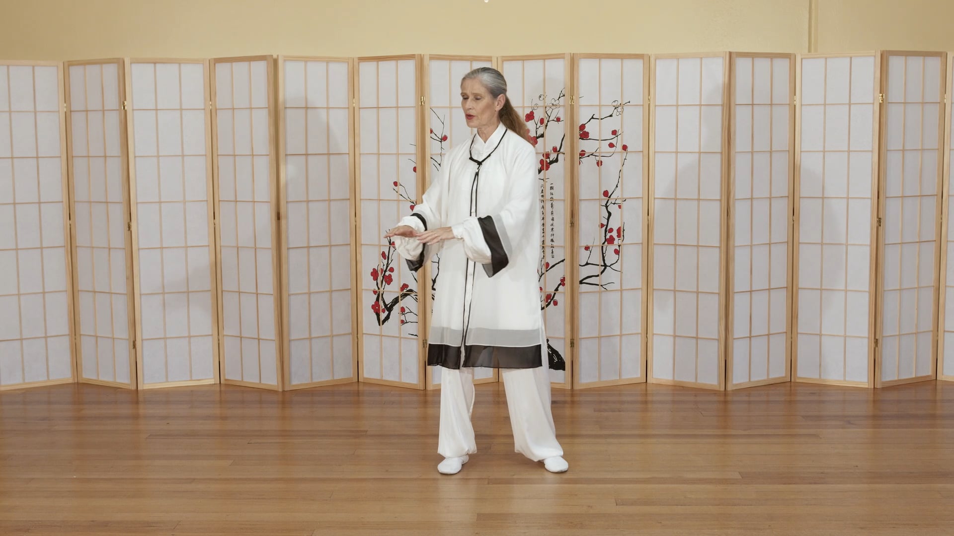 Shibashi Set 2 Postures 16-18