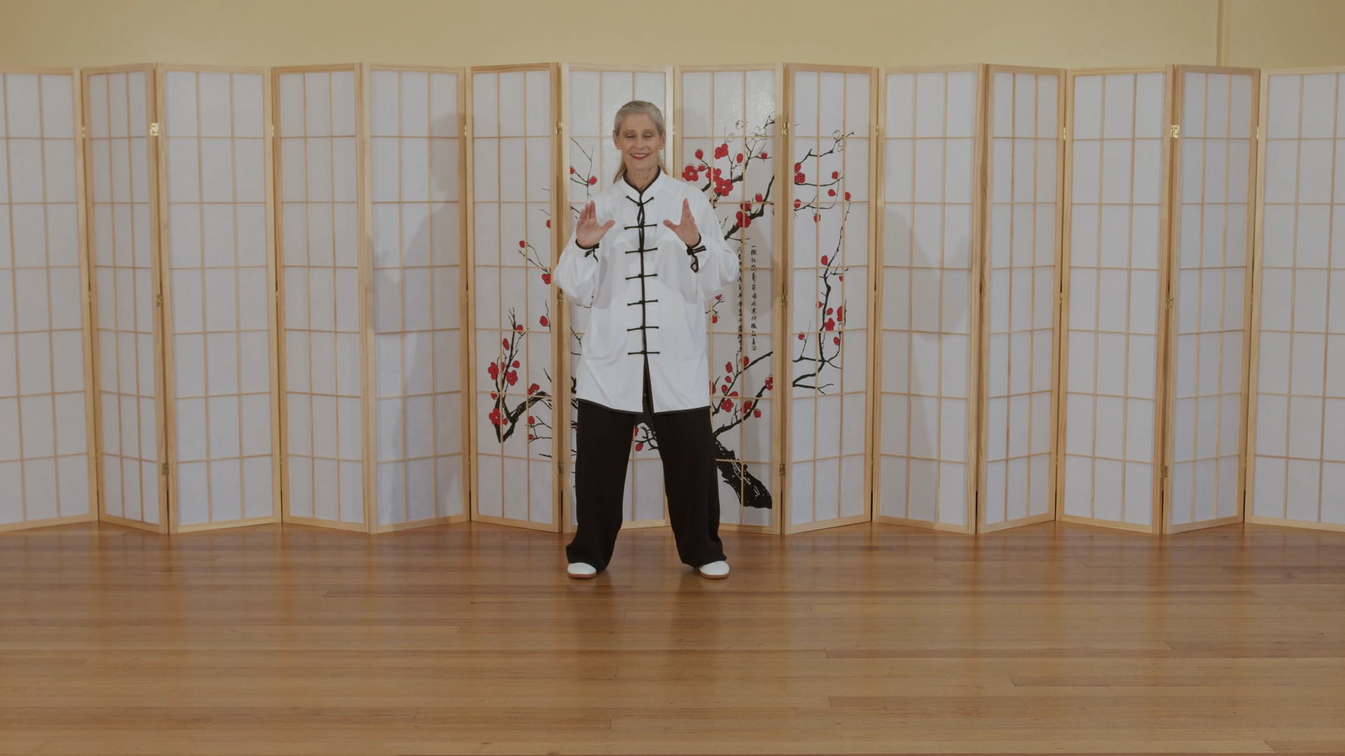 13 Energies Travelling