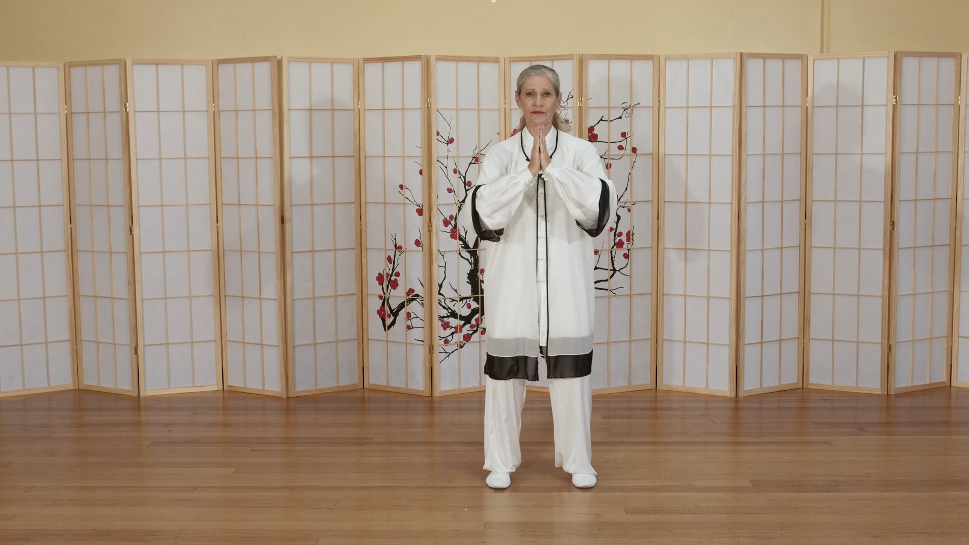 Shibashi Set 2 Postures 7-9 