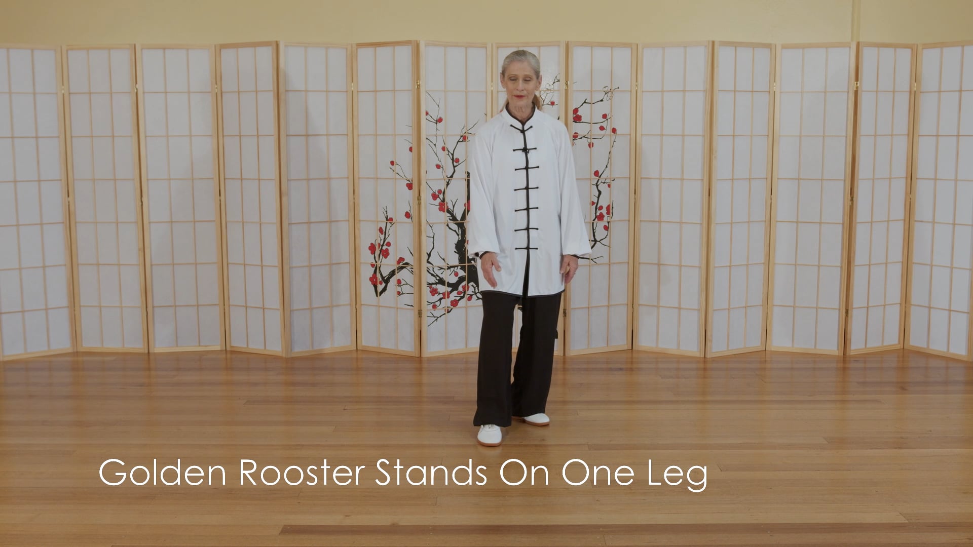 Golden Rooster Stands on One Leg, High Kick with Heel and Grasp Bird’s Tail