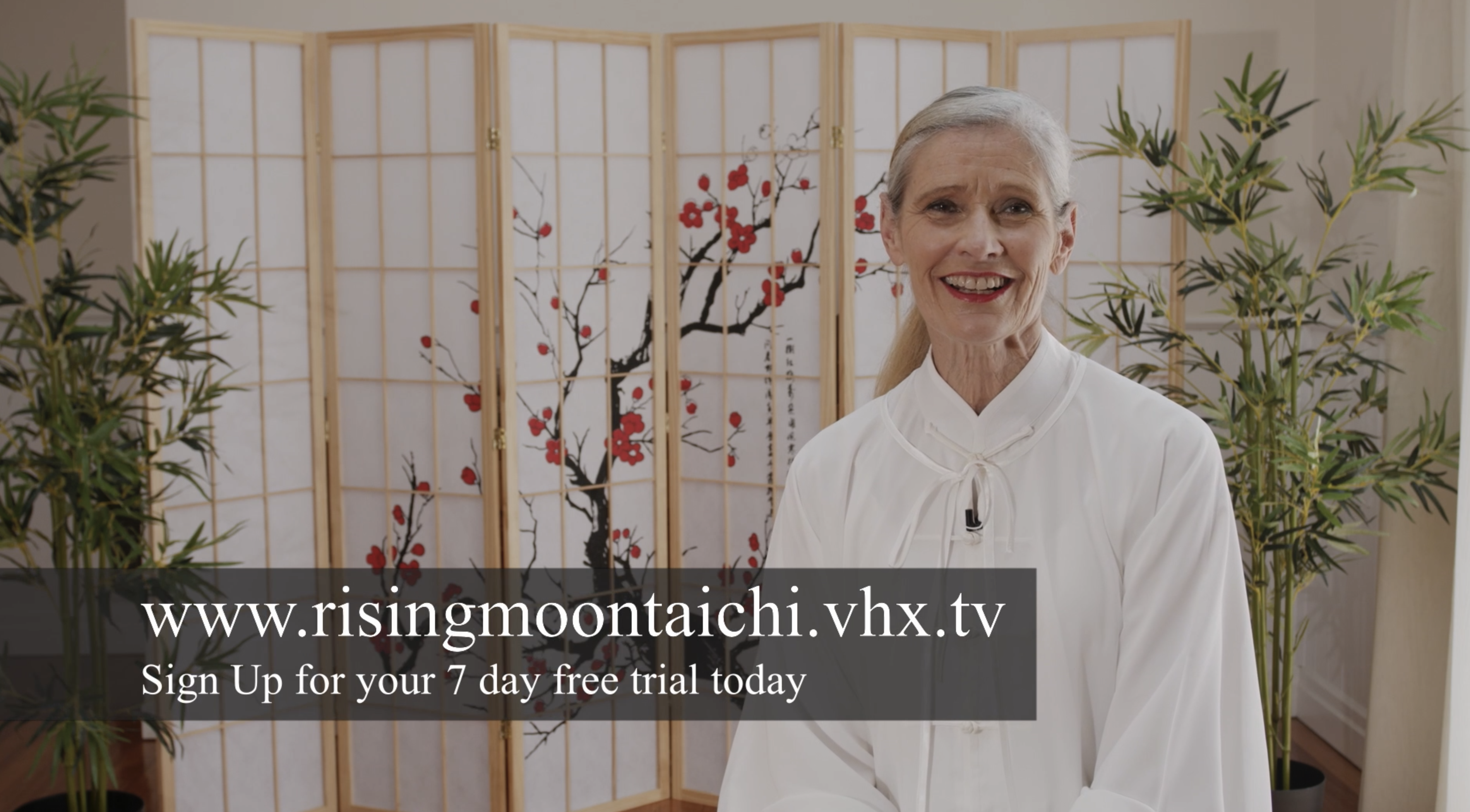 Typical lesson example and teaching overview