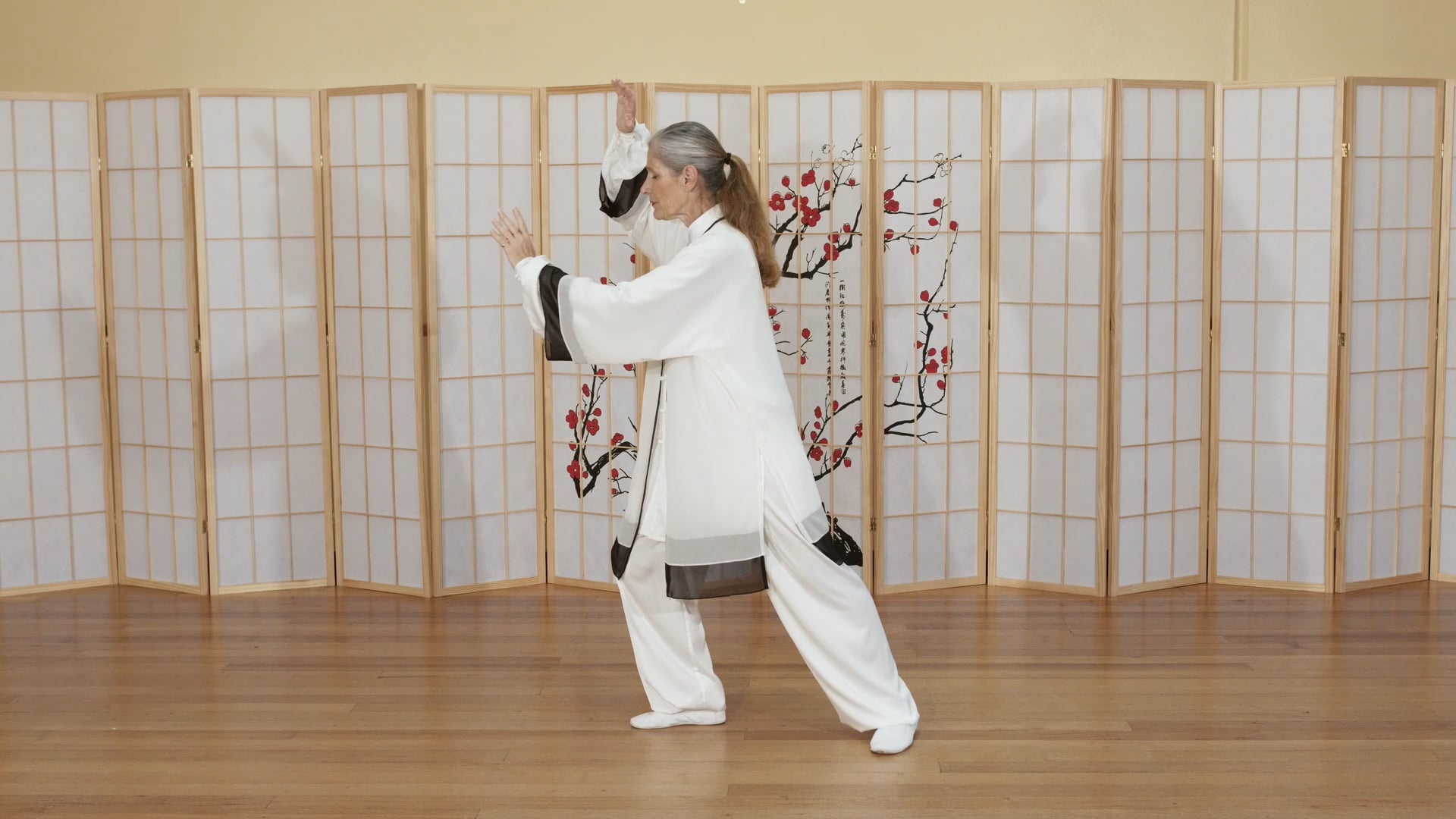 Shibashi Set 2 Postures 13-15 - Shibashi Set 2 - Rising Moon Tai Chi