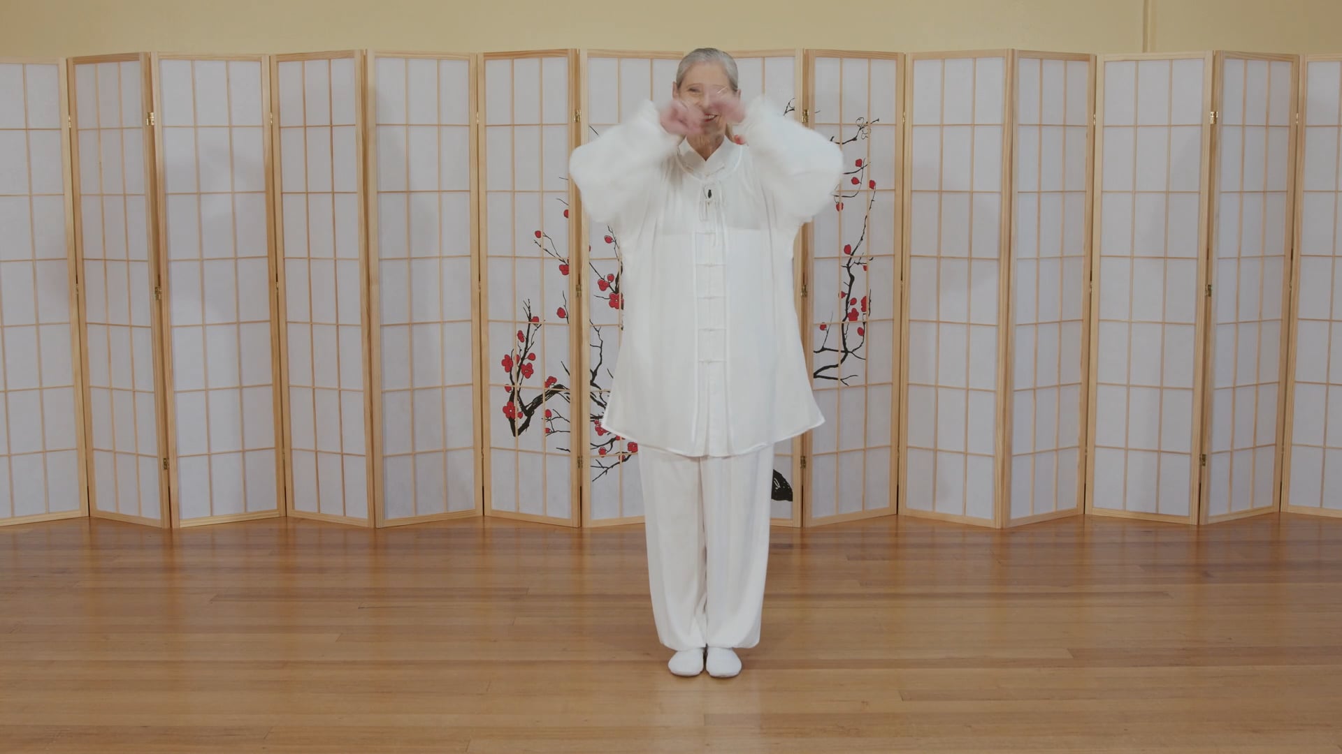 Single Whip, High Pat on Horse and Punch Tiger’s Ears