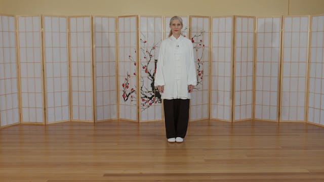 Tai Chi Stepping