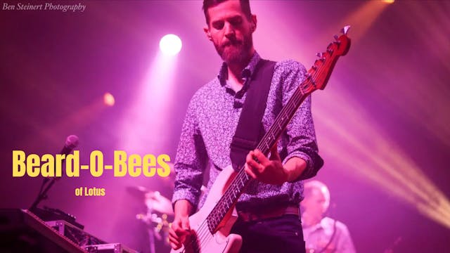 Beard-o-Bees (RIVER BEATS REWIND)