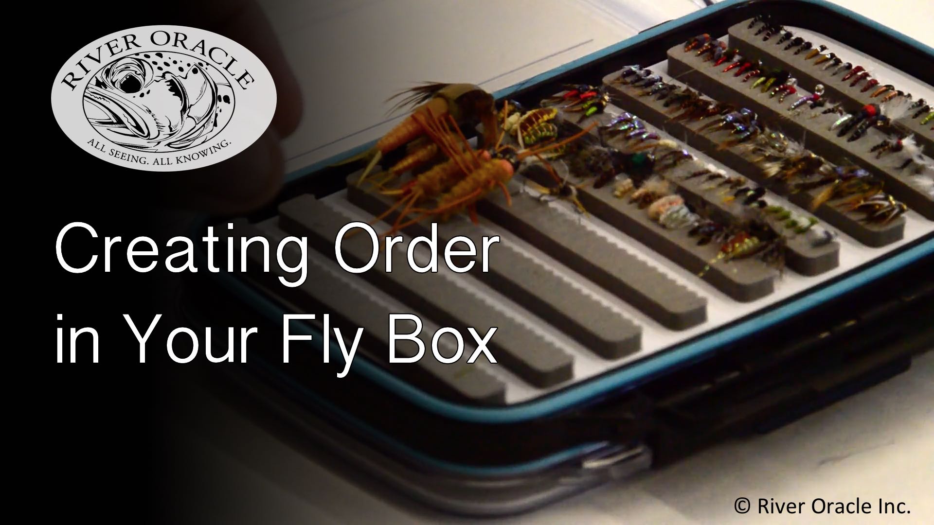 Creating Order in Your Fly Box
